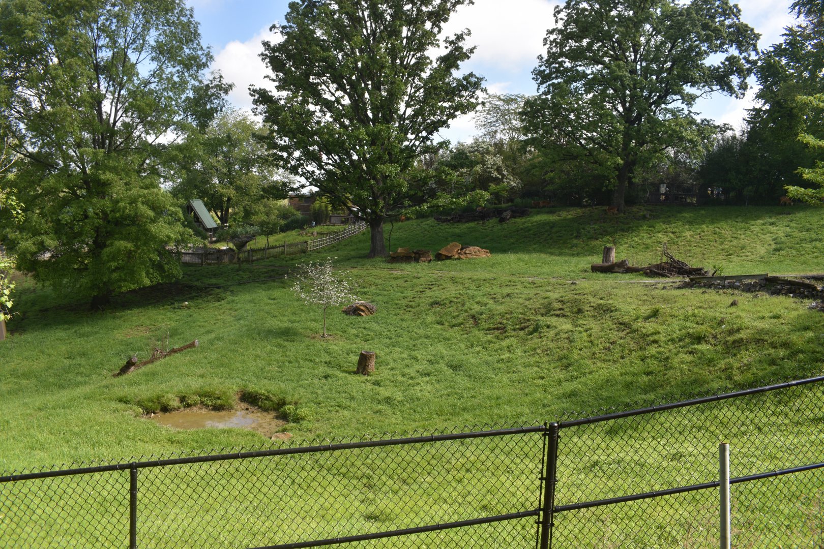 May. 2025 - African Rift Valley - Sitatunga Exhibit