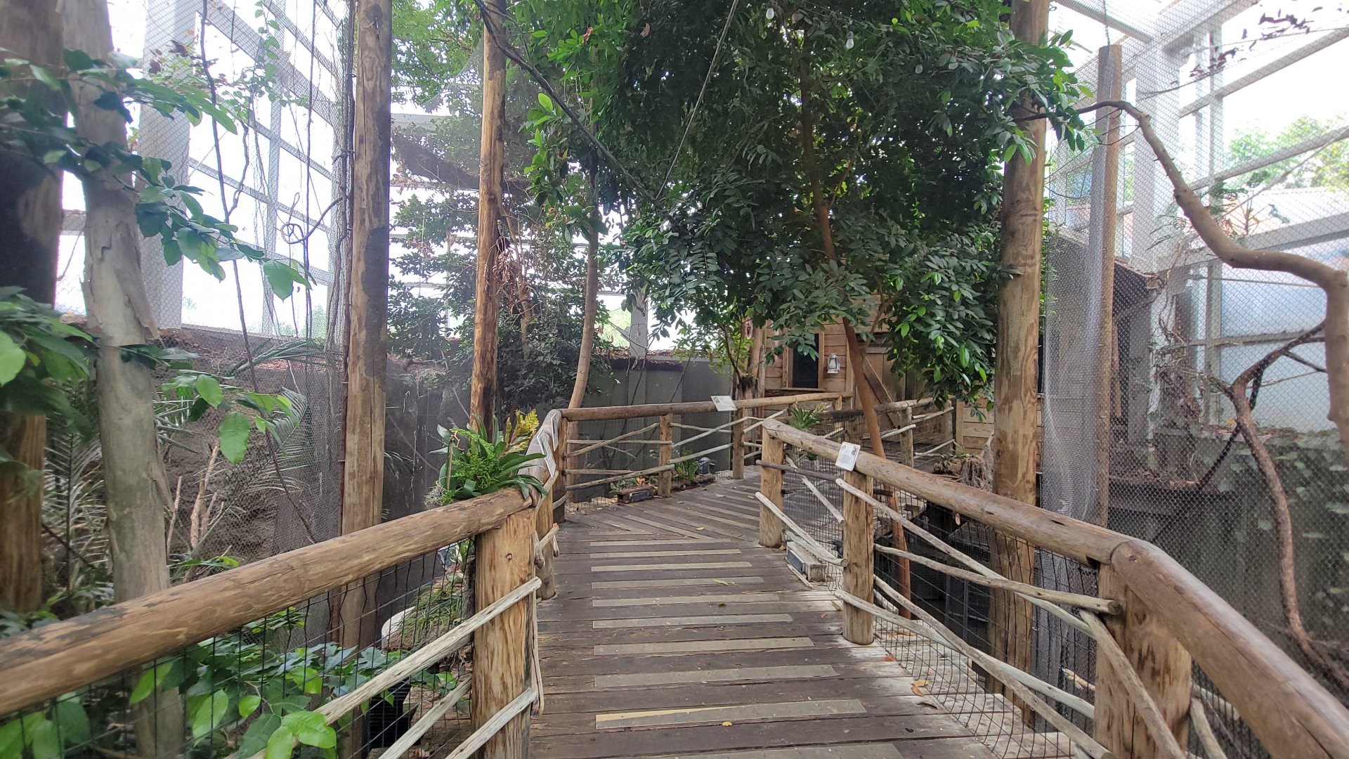 May. 2025 - Amazonia: Forest of Riches - 3 Exhibits (Facing Entrance Door)