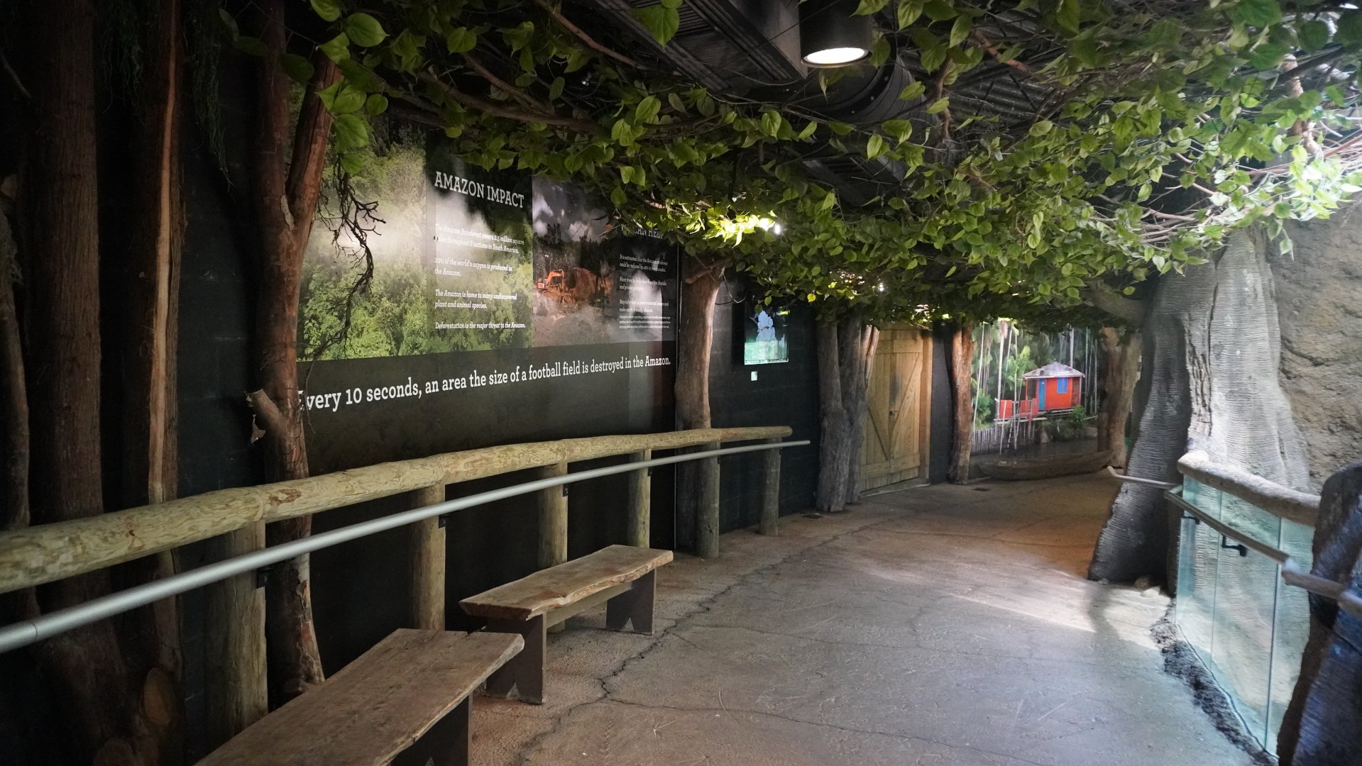 May. 2025 - Amazonia: Forest of Riches - Amazon Impact Wall