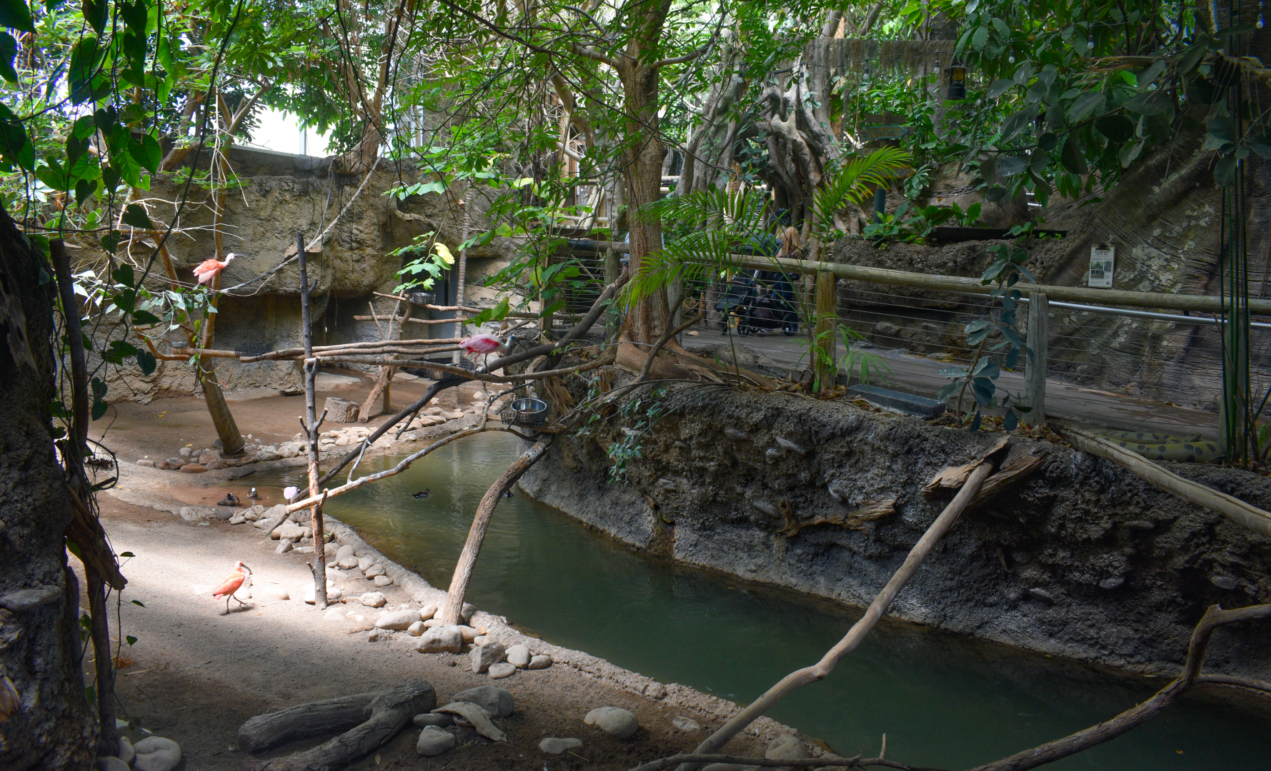 May. 2025 - Amazonia: Forest of Riches - Baird's Tapir Exhibit (Find the Anaconda)