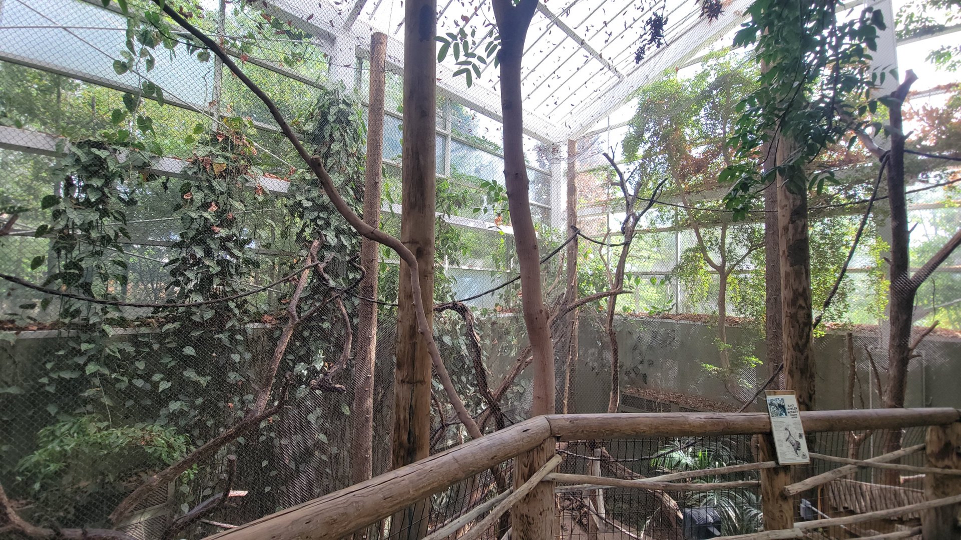 May. 2025 - Amazonia: Forest of Riches - Black Howler Monkey & Squirrel Monkey Exhibit