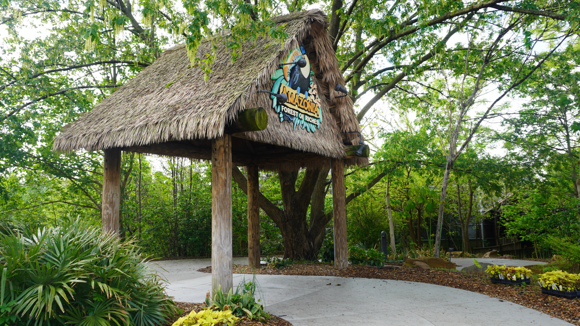 May. 2025 - Amazonia: Forest of Riches - Entrance Hut