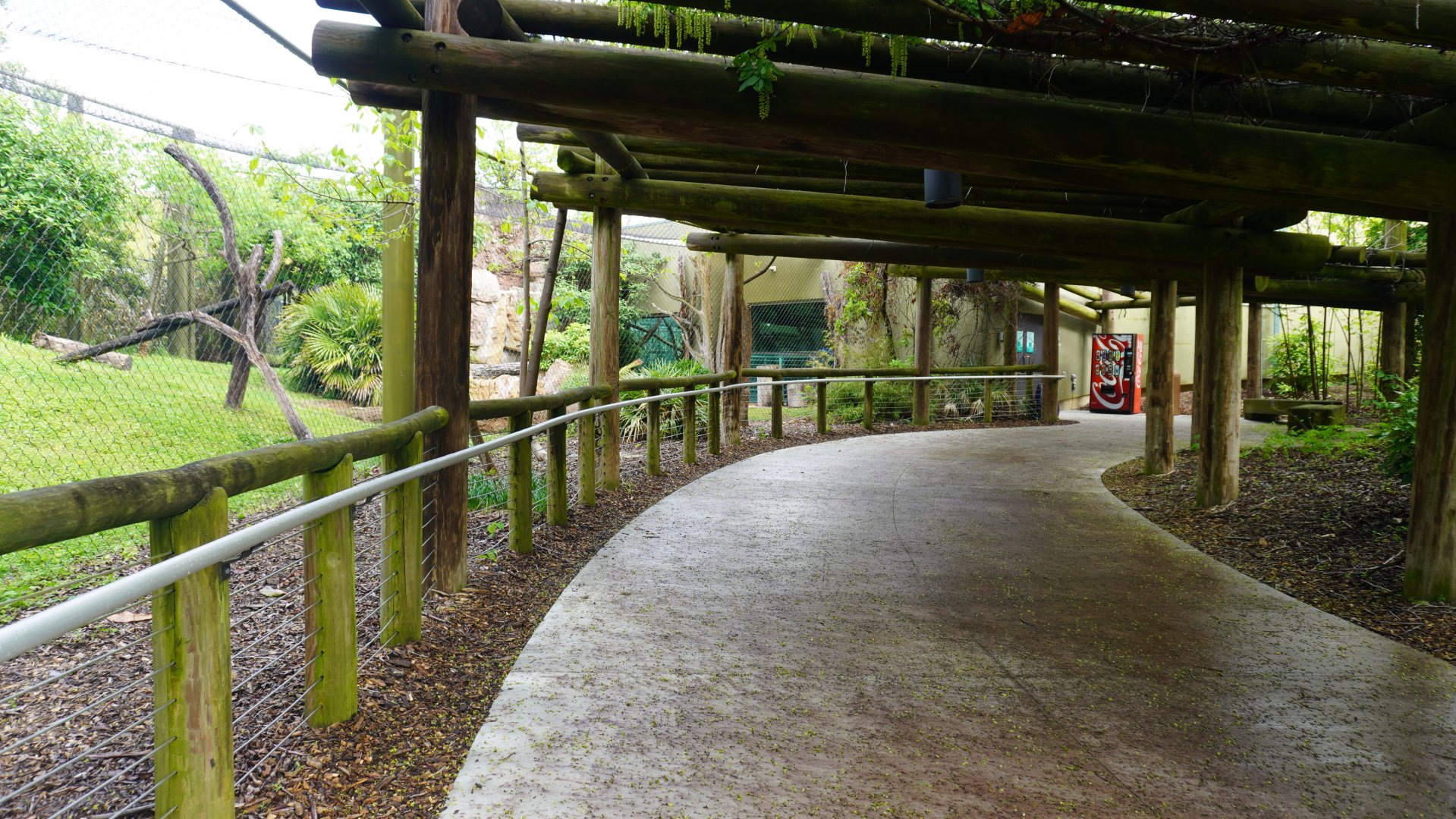 May. 2025 - Amazonia: Forest of Riches - Goldman's Jaguar Exhibit Viewing