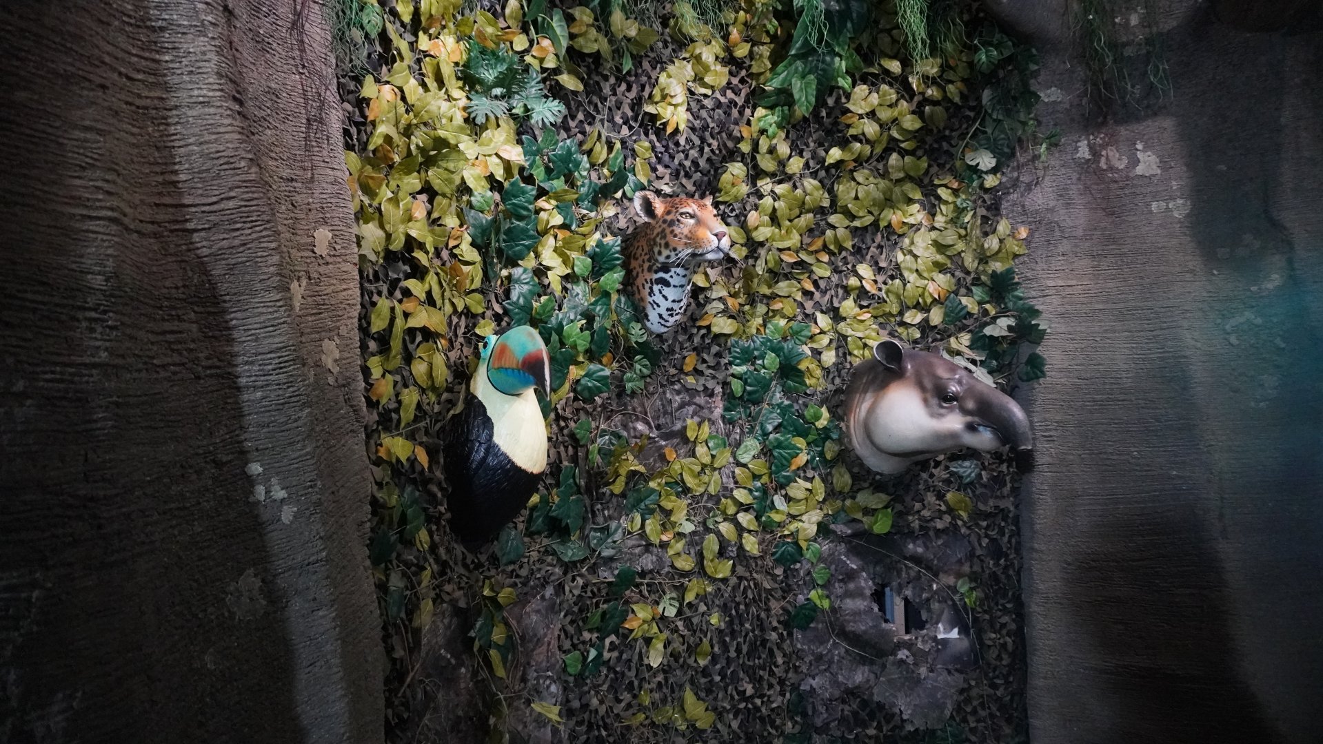 May. 2025 - Amazonia: Forest of Riches - Head Mounts