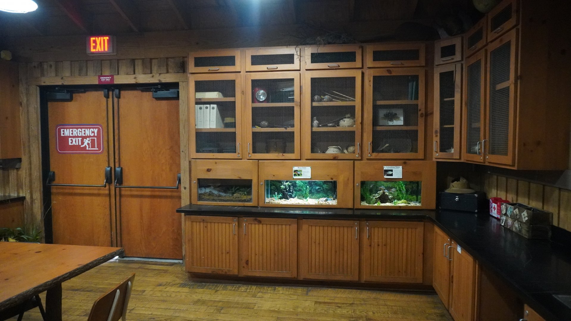 May. 2025 - Amazonia: Forest of Riches - Researcher's Hut - Tanks