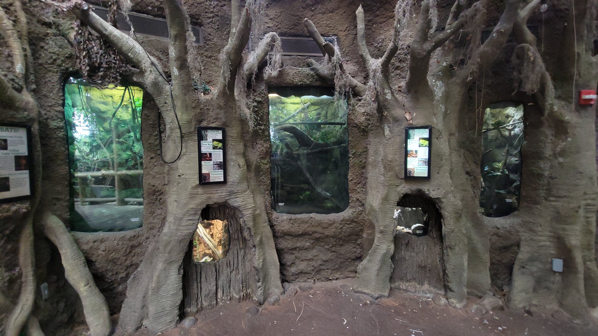 May. 2025 - Amazonia: Forest of Riches - Terrariums