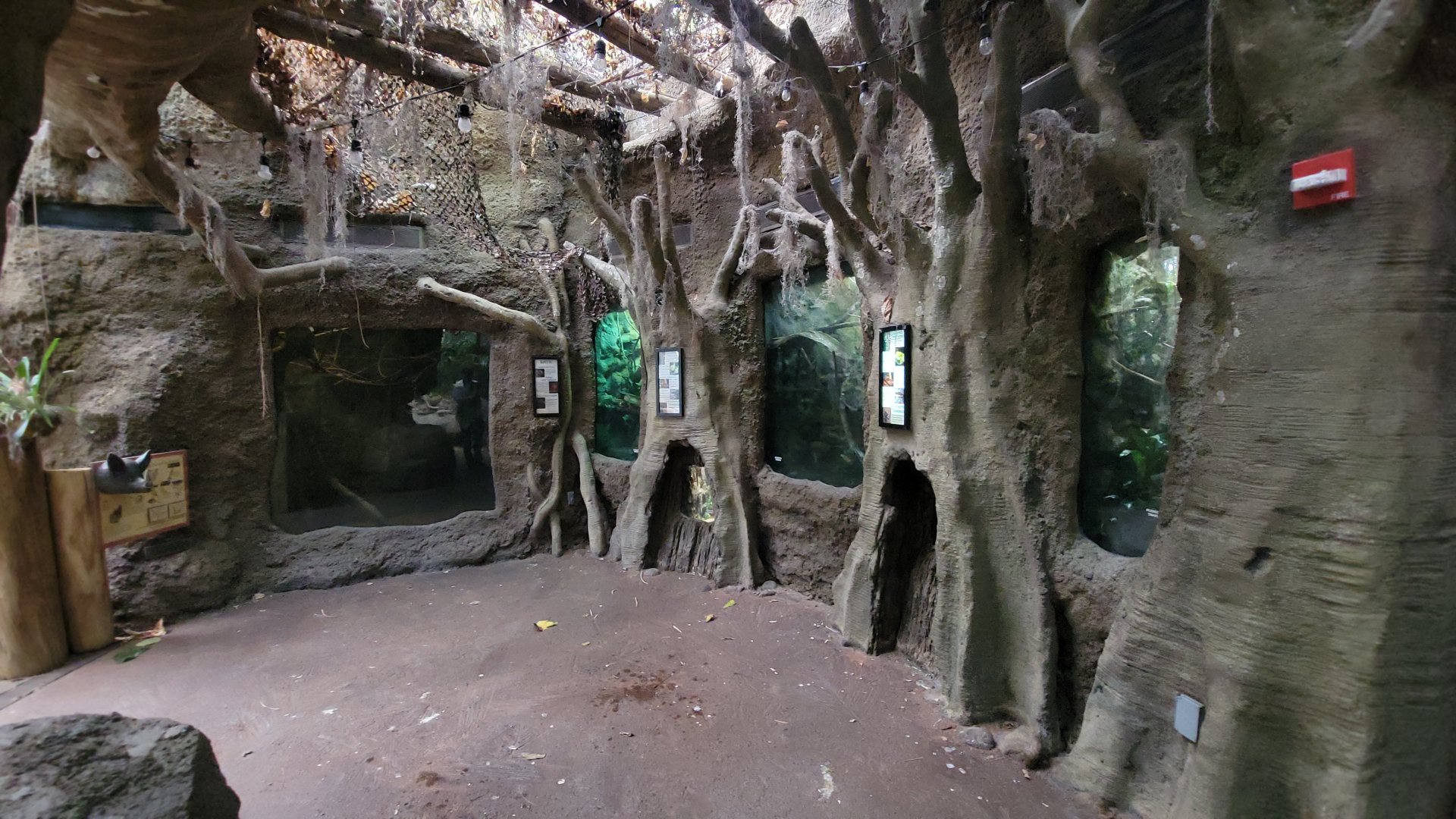 May. 2025 - Amazonia: Forest of Riches - Terrariums