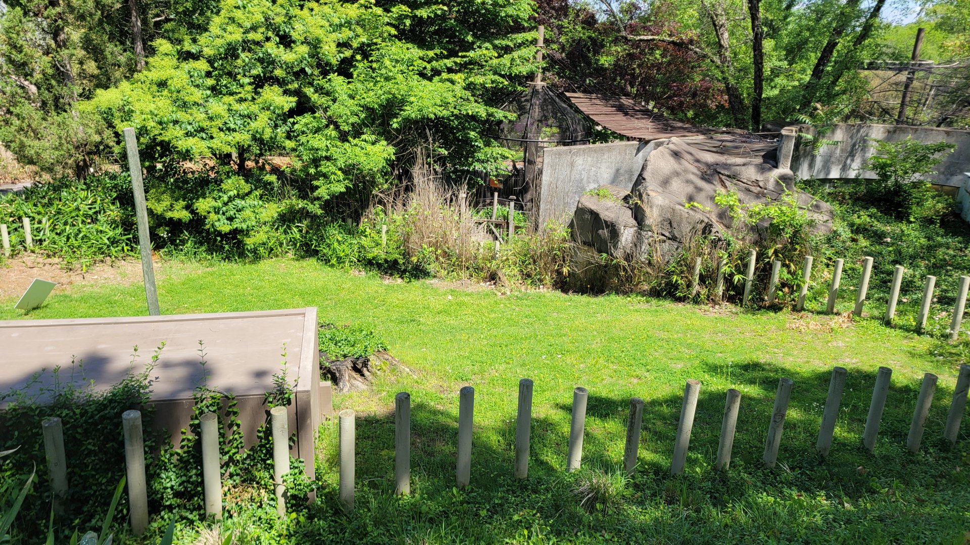 May. 2025 - Asia - Aldabra Tortoise Exhibit