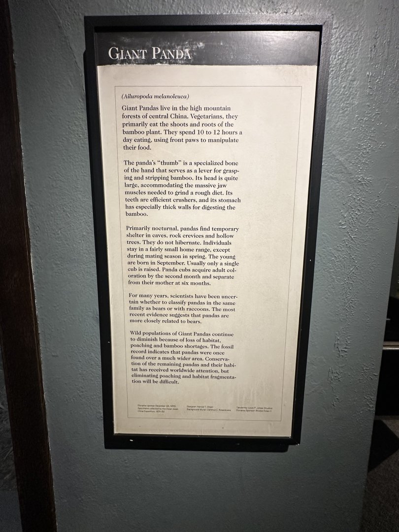 May 2025 - Asia - Giant Panda Signage