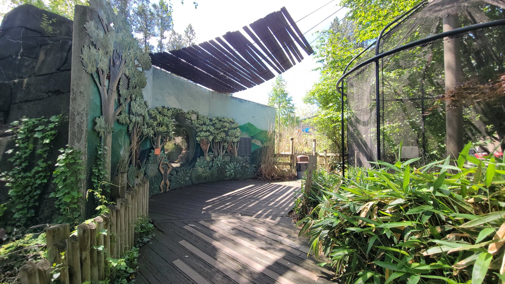 May. 2025 - Asia - Gibbon + Quail Exhibits