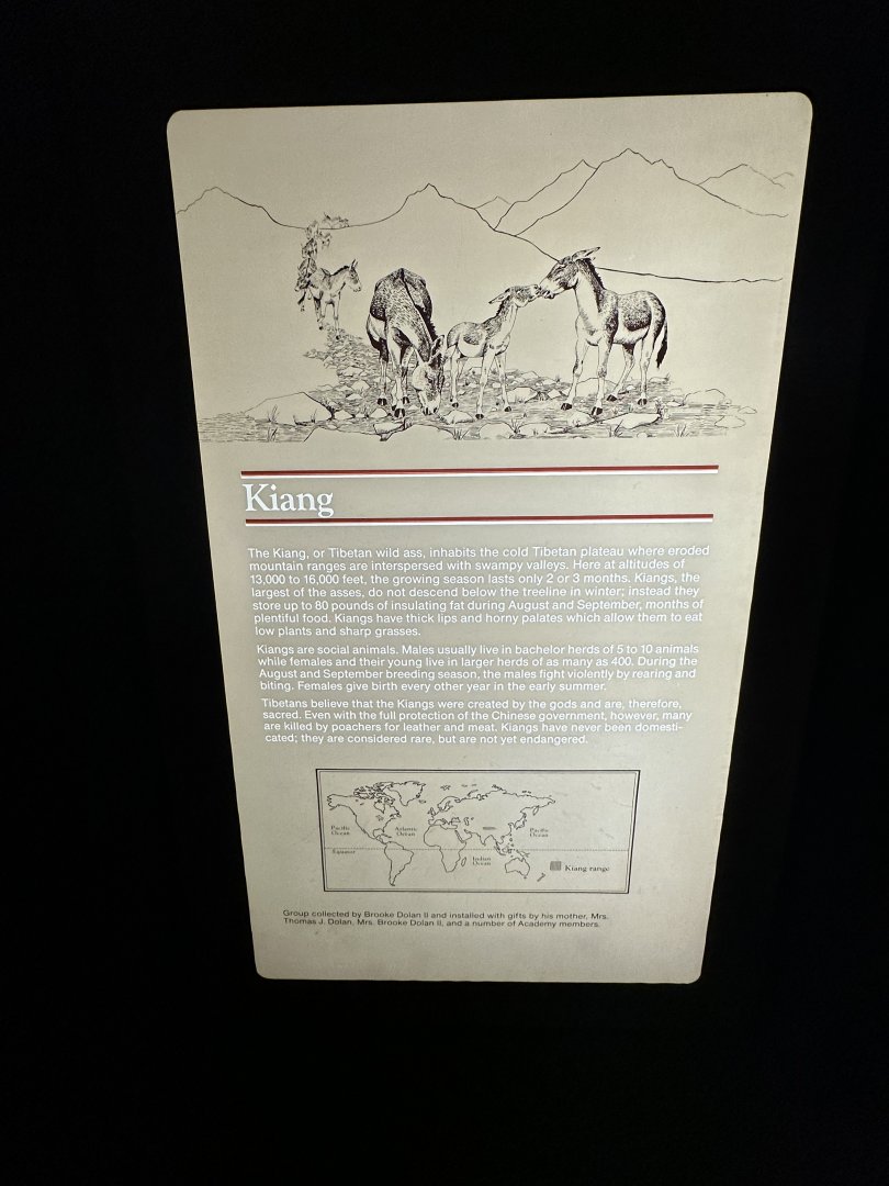 May 2025 - Asia - Kiang Signage