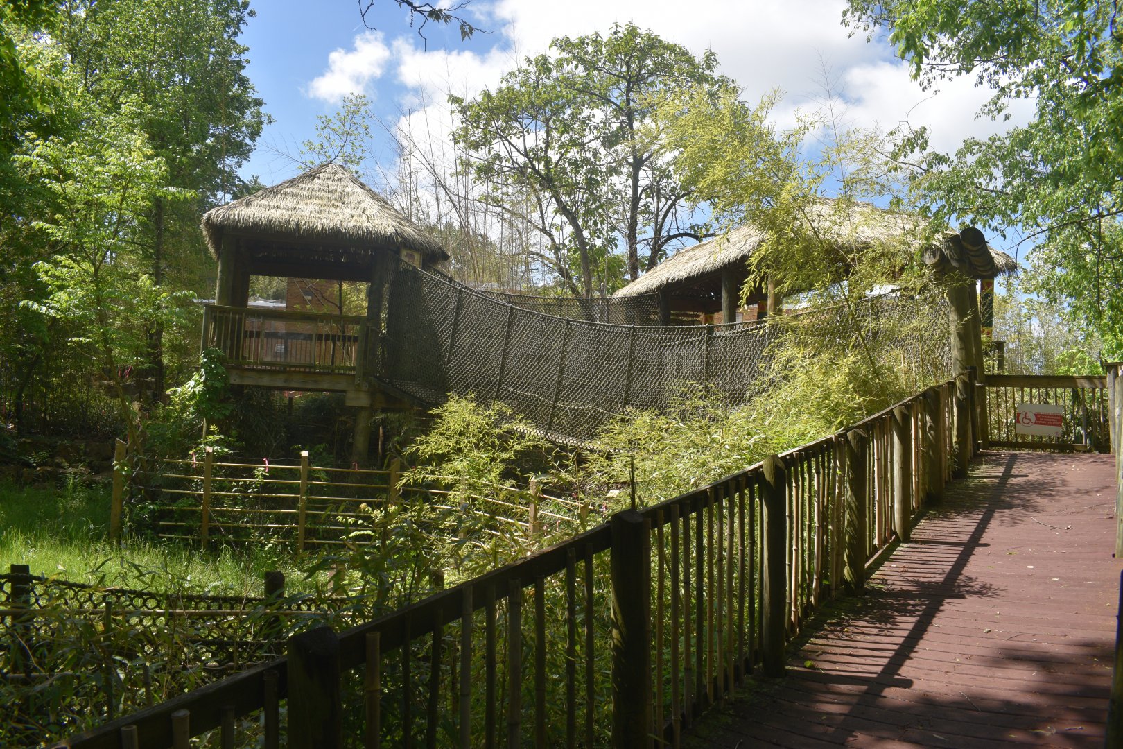 May. 2025 - Asia - Rhino Reserve - Indian Rhino Left Exhibit - Elevated View