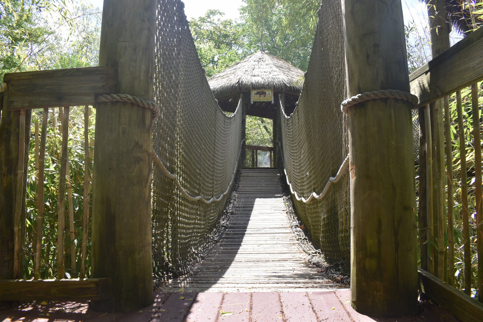 May. 2025 - Asia - Rhino Reserve - Indian Rhino Left Exhibit - Elevated View