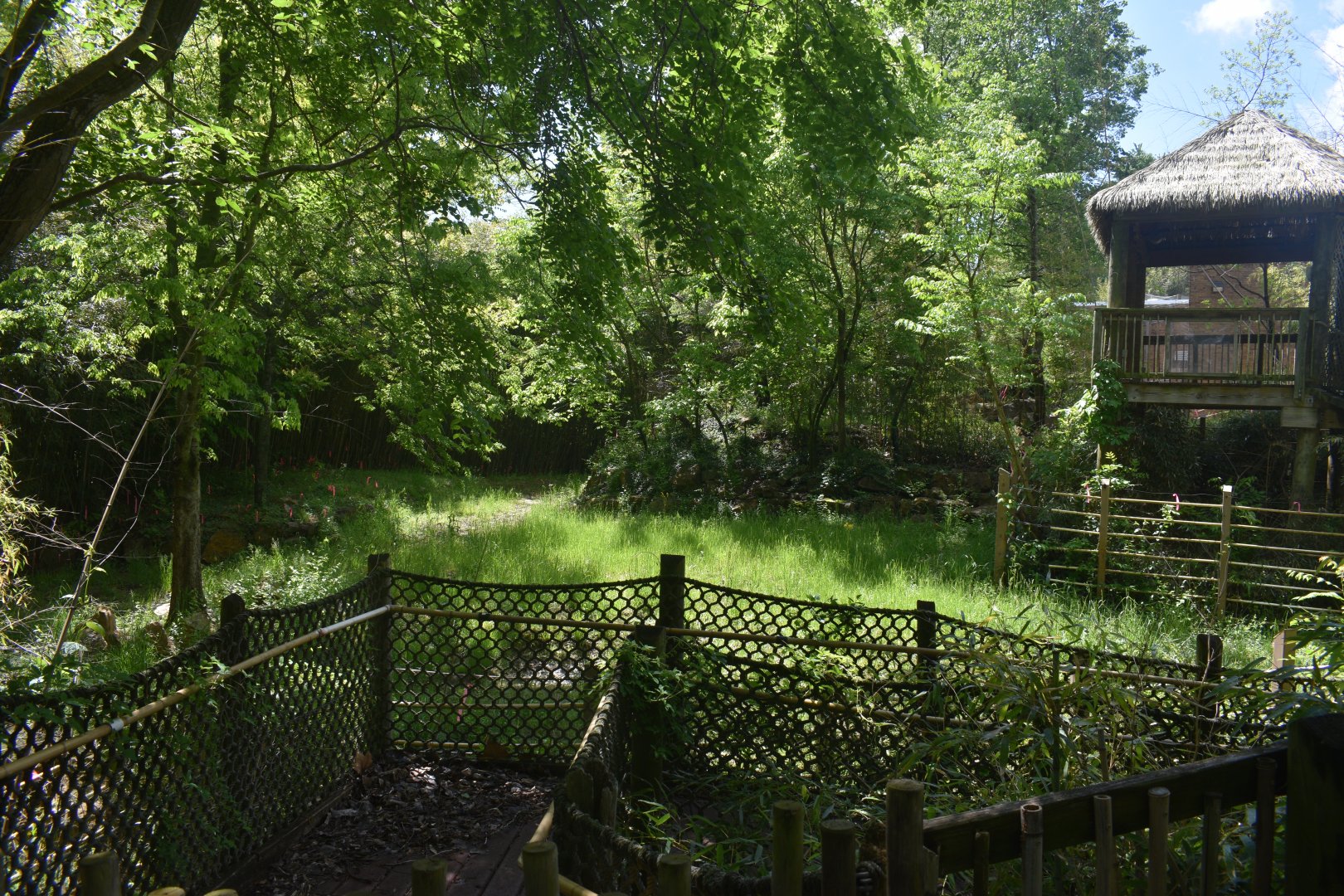 May. 2025 - Asia - Rhino Reserve - Indian Rhino Left Exhibit