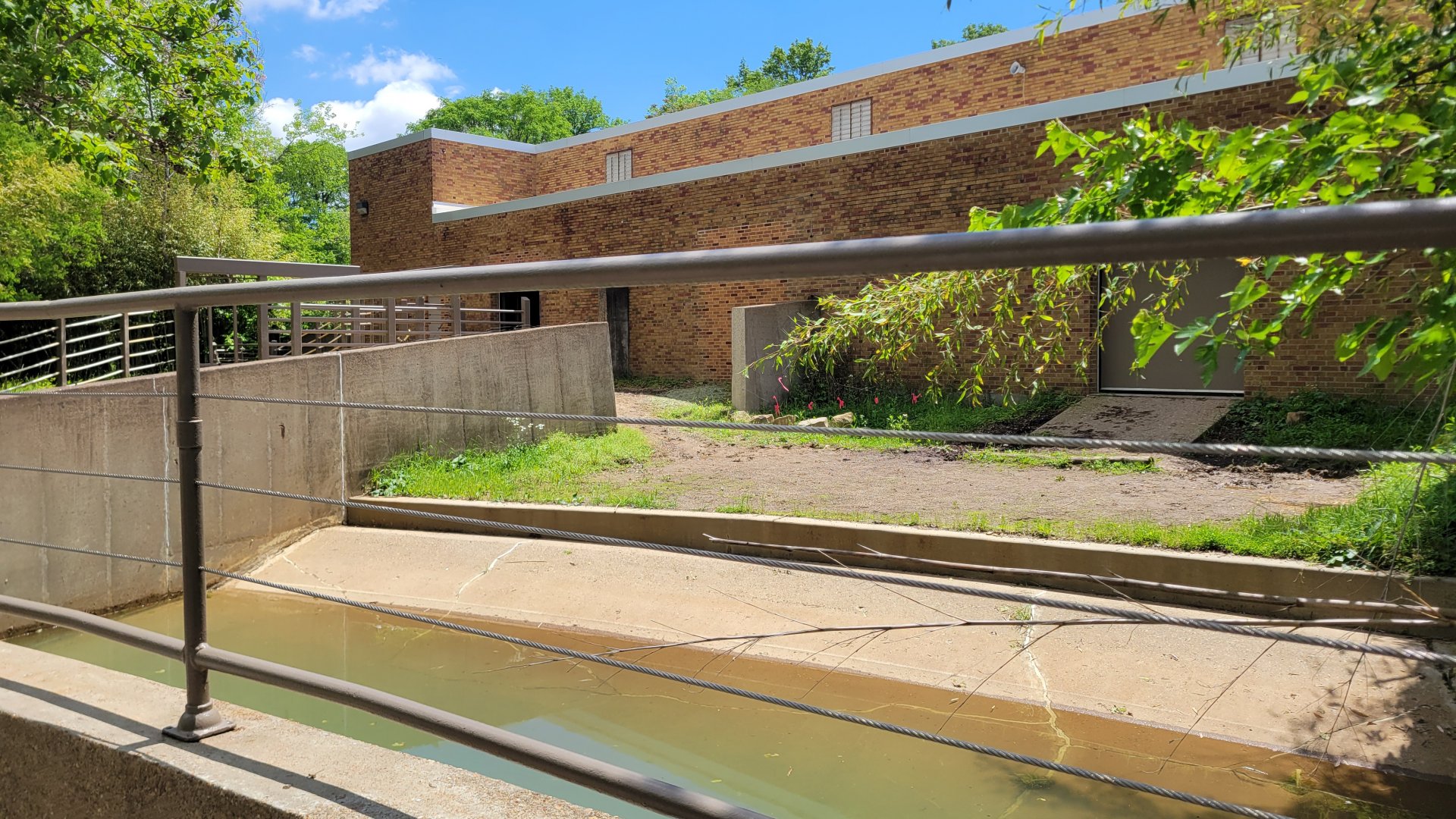 May. 2025 - Asia - Rhino Reserve - Indian Rhino Right Exhibit