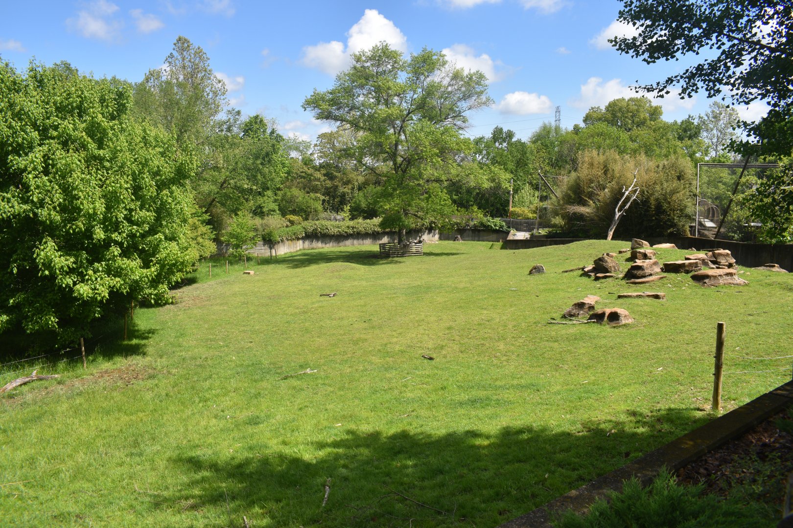 May. 2025 - Asia - Sichuan Takin & Reeve's Muntjac Exhibit