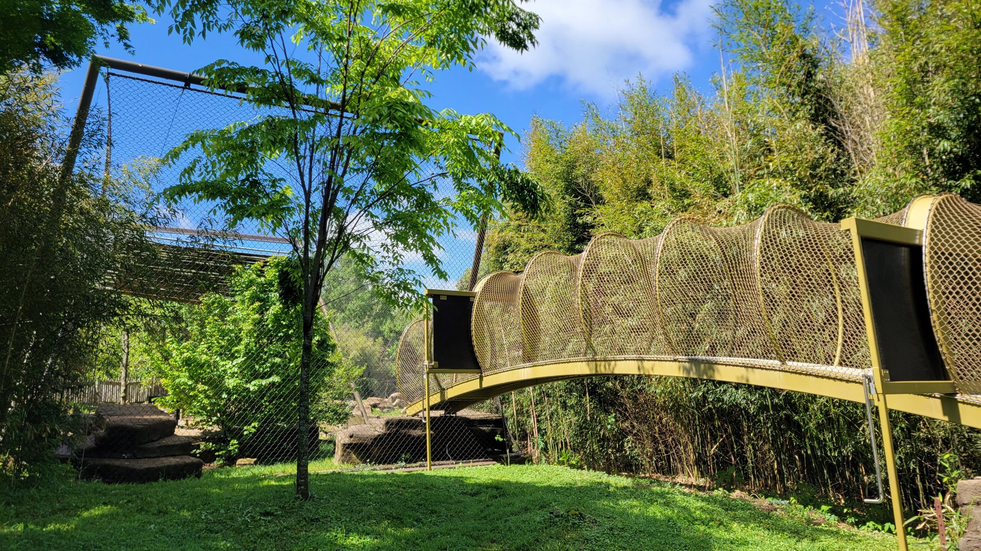 May. 2025 - Asia - Sumatran Tiger Exhibit (Former Amur Tiger Recently Combined With Former Sun Bear)