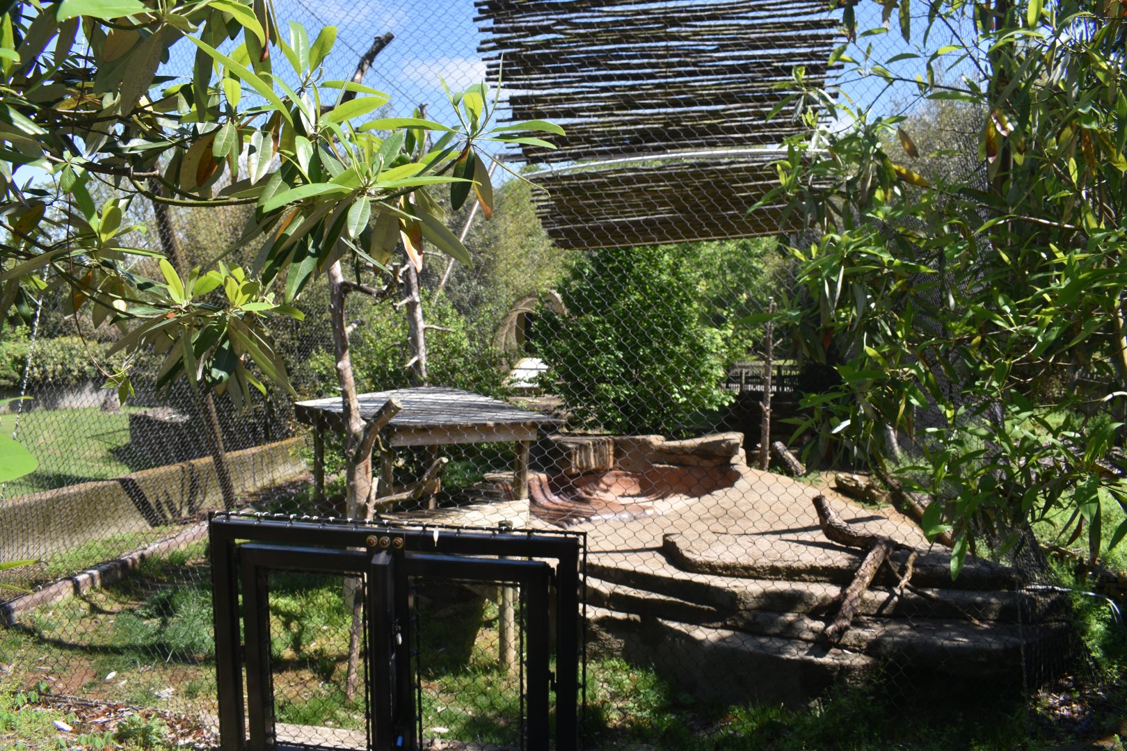 May. 2025 - Asia - Sumatran Tiger Exhibit (Left Side)