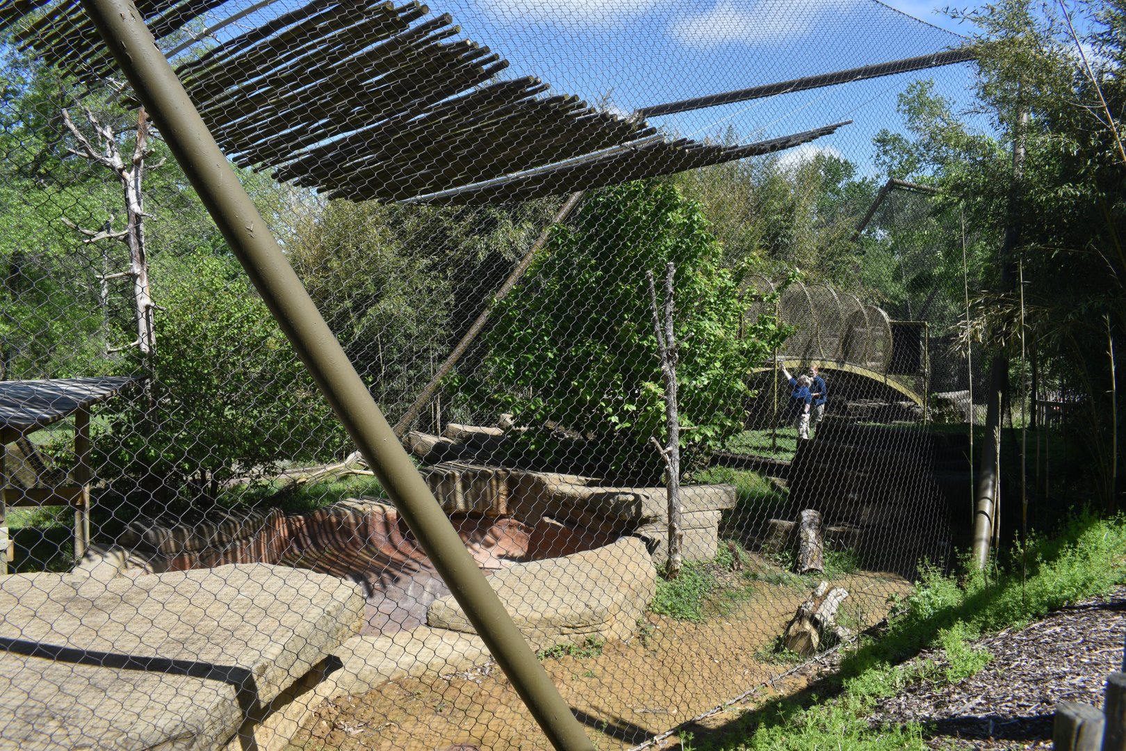 May. 2025 - Asia - Sumatran Tiger Exhibit (Left Side)