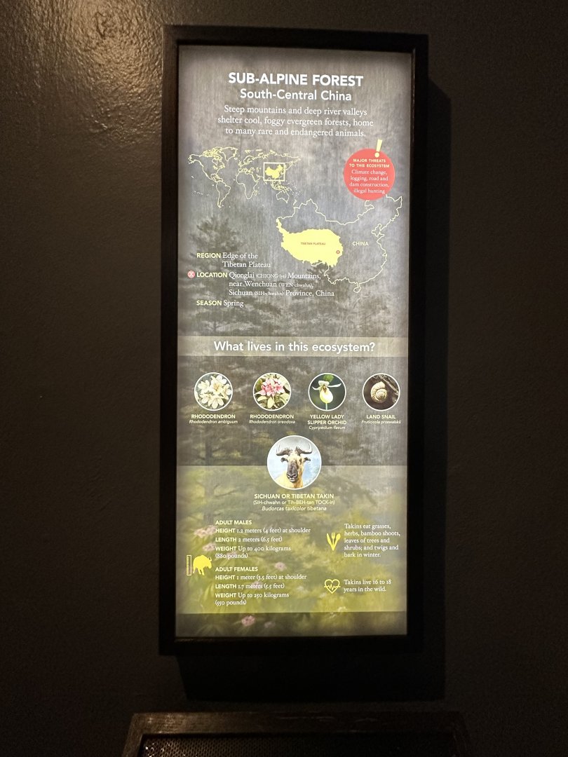 May 2025 - Asia - Takin Signage