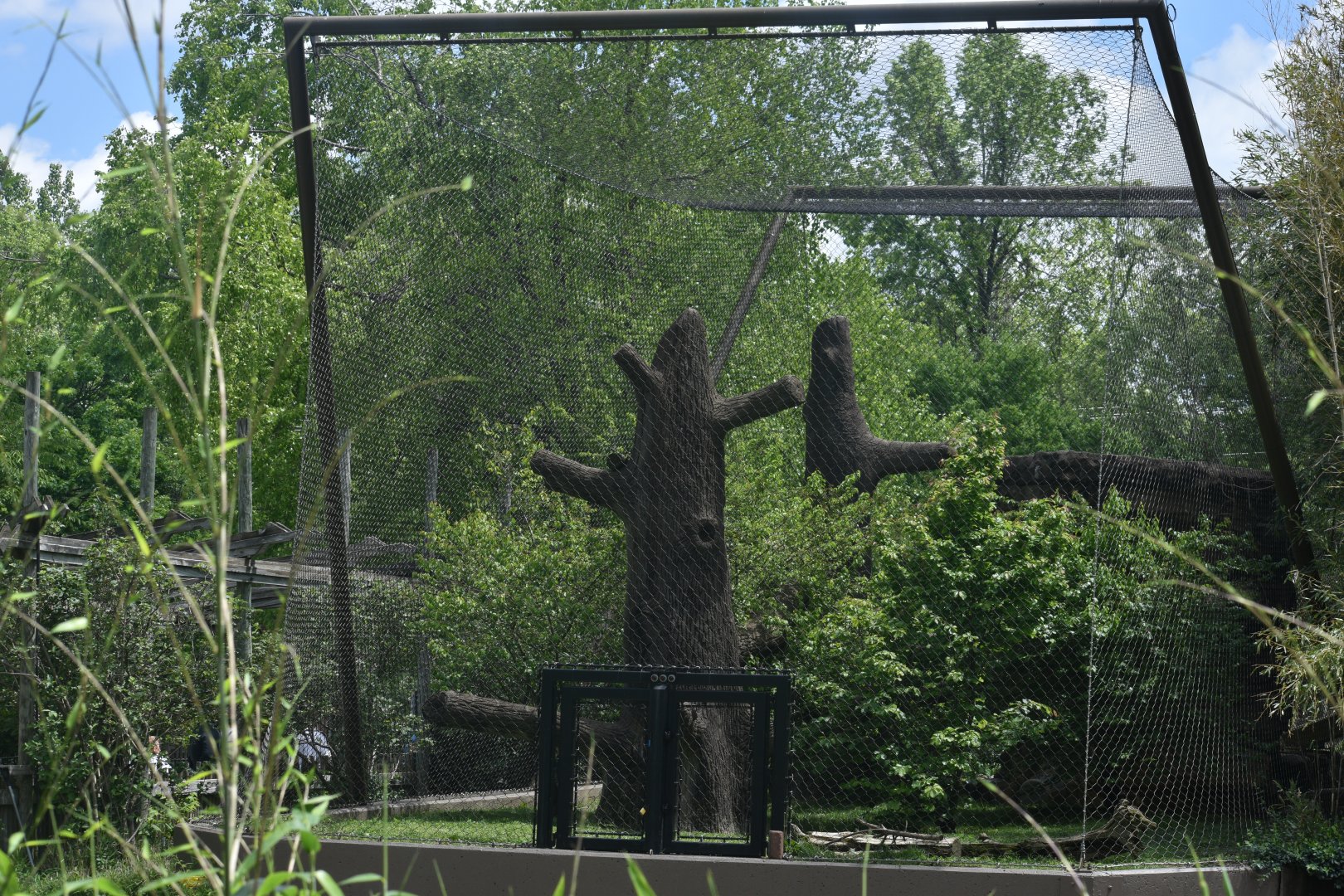 May. 2025 - Asia - Tiger Exhibit (Expanded Side - Former Sun Bear)