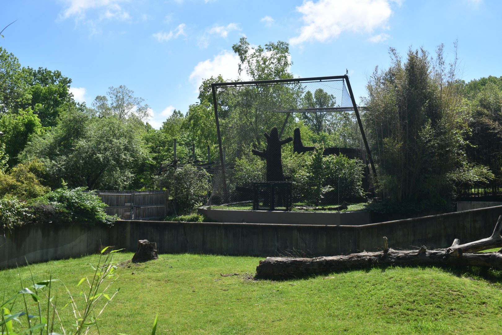 May. 2025 - Asia - Tiger Exhibit + Sichuan Takin/Reeve's Muntjac Exhibits