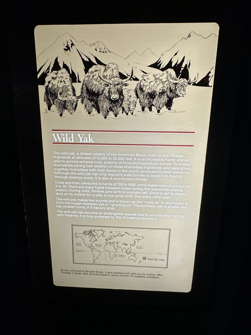May 2025 - Asia - Yak Signage