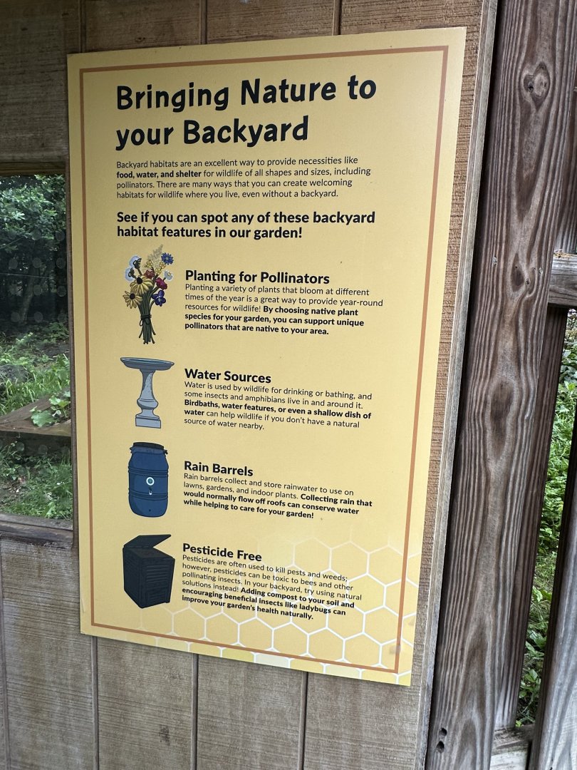 May 2025 - Backyard Signage