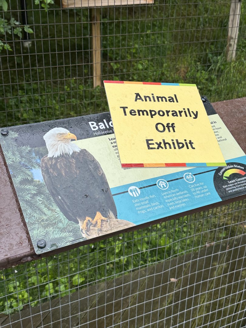 May 2025 - Bald Eagle Signage