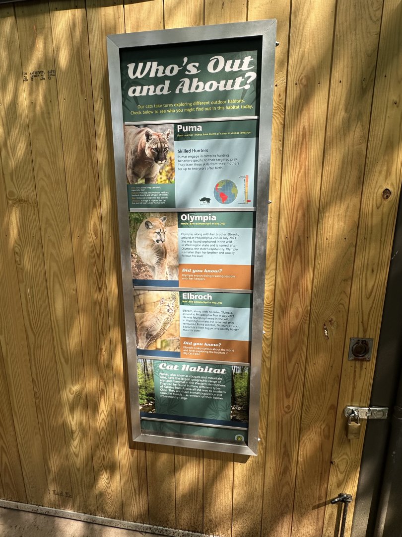 May 2025 - Big Cat Falls - Puma Signage