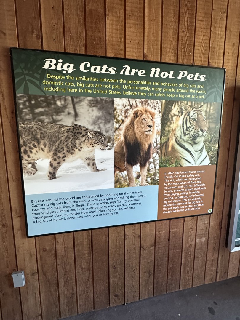 May 2025 - Big Cat Falls - Signage (1)