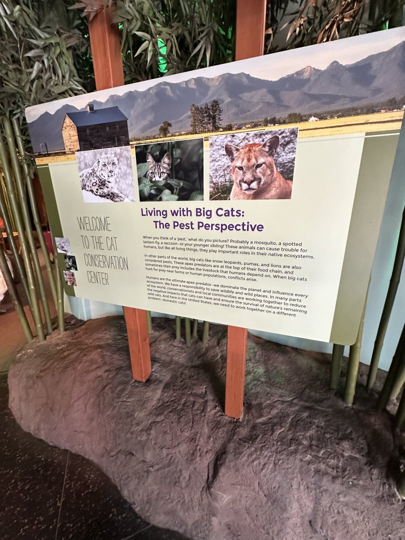 May 2025 - Big Cat Falls - Signage (2)