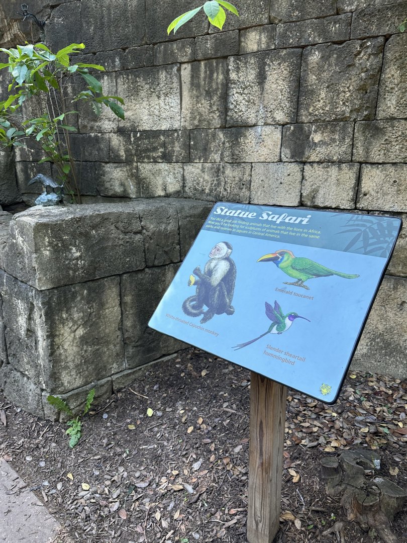 May 2025 - Big Cat Falls - “Statue Safari”