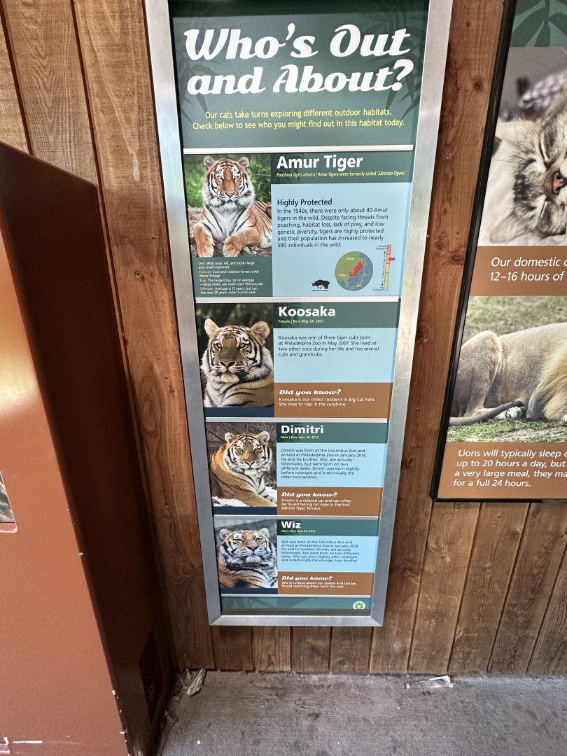 May 2025 - Big Cat Falls - Tiger Signage