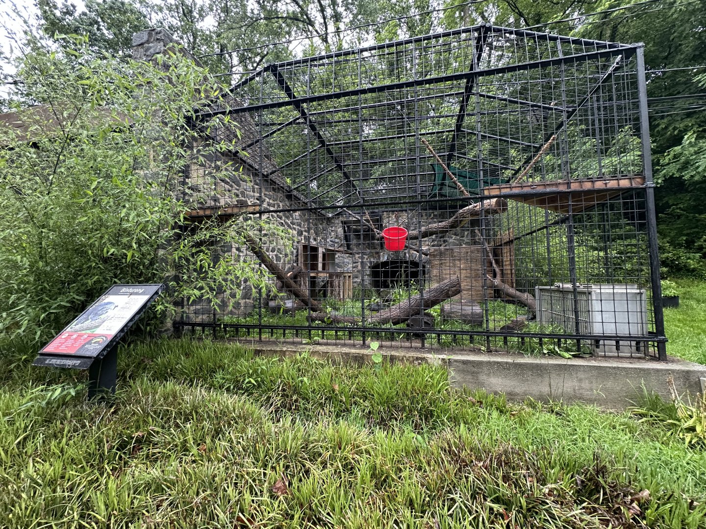 May 2025 - Binturong Enclosure
