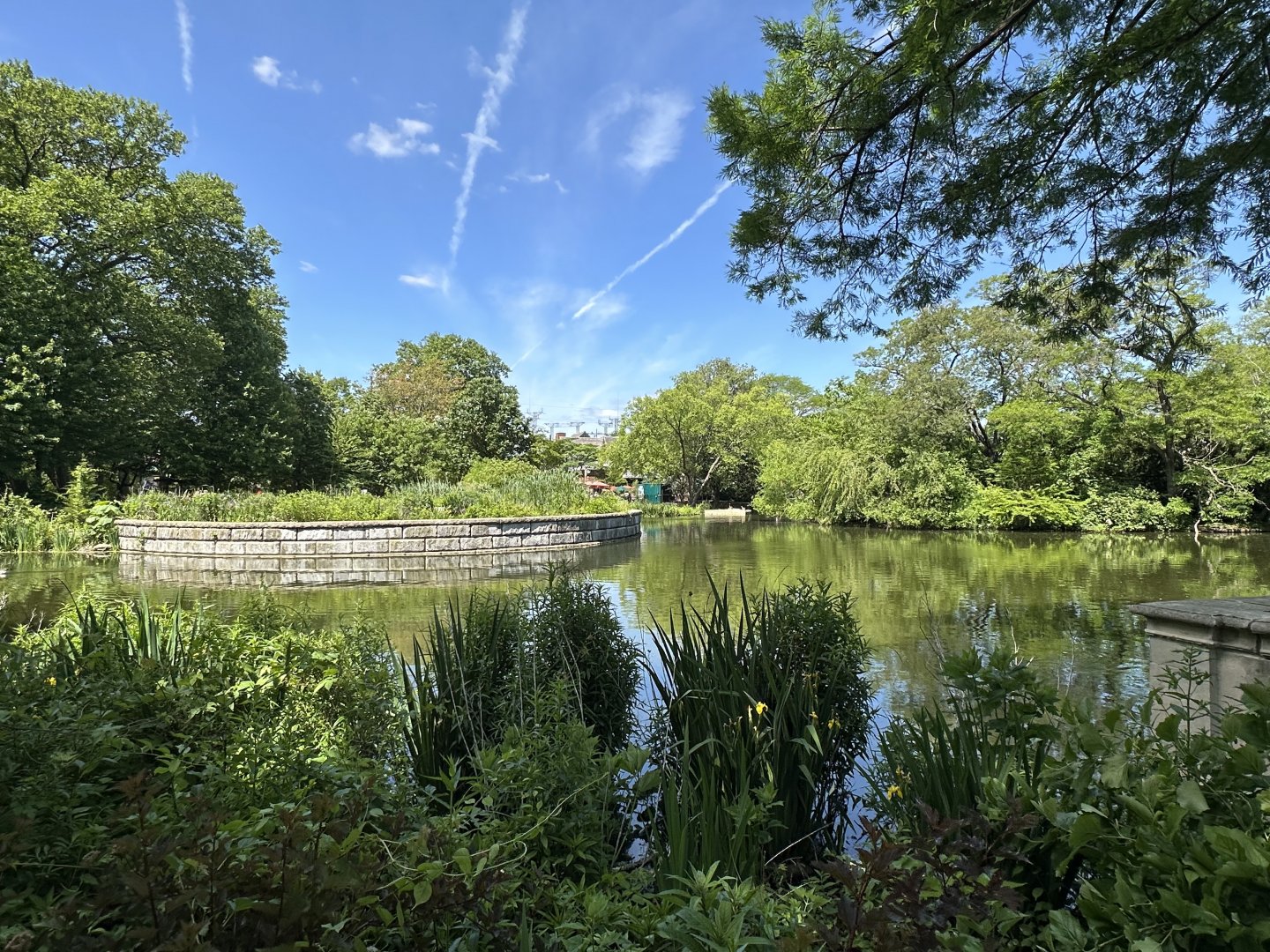 May 2025 - Bird Pond - Overview (from McNeil Avian Center)