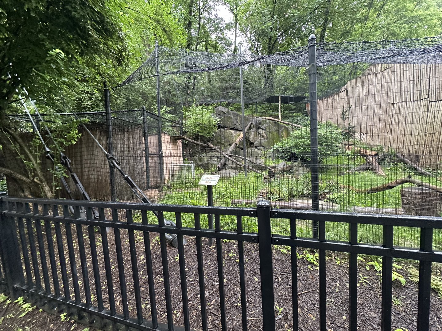 May 2025 - Bobcat Enclosure