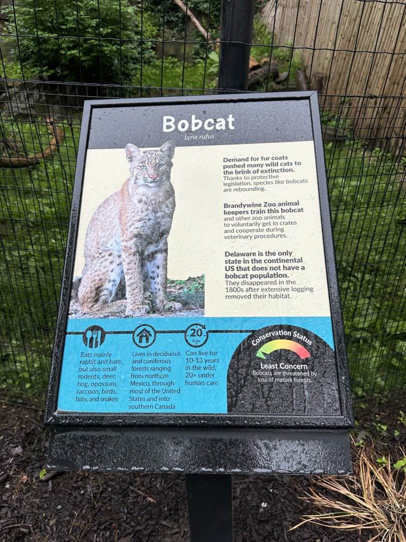 May 2025 - Bobcat Signage