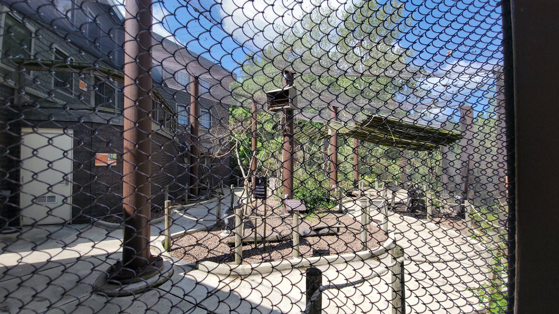 May. 2025 - Budgie Walkabout