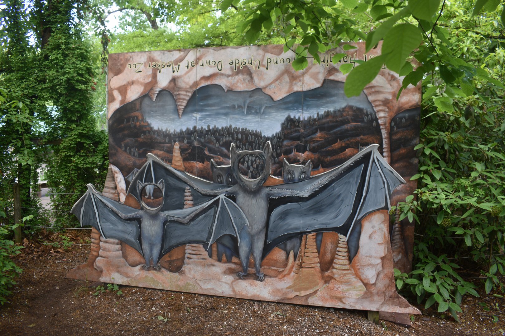 May. 2025 - Children's Enchanted Forest - Bat Photo Opportunity