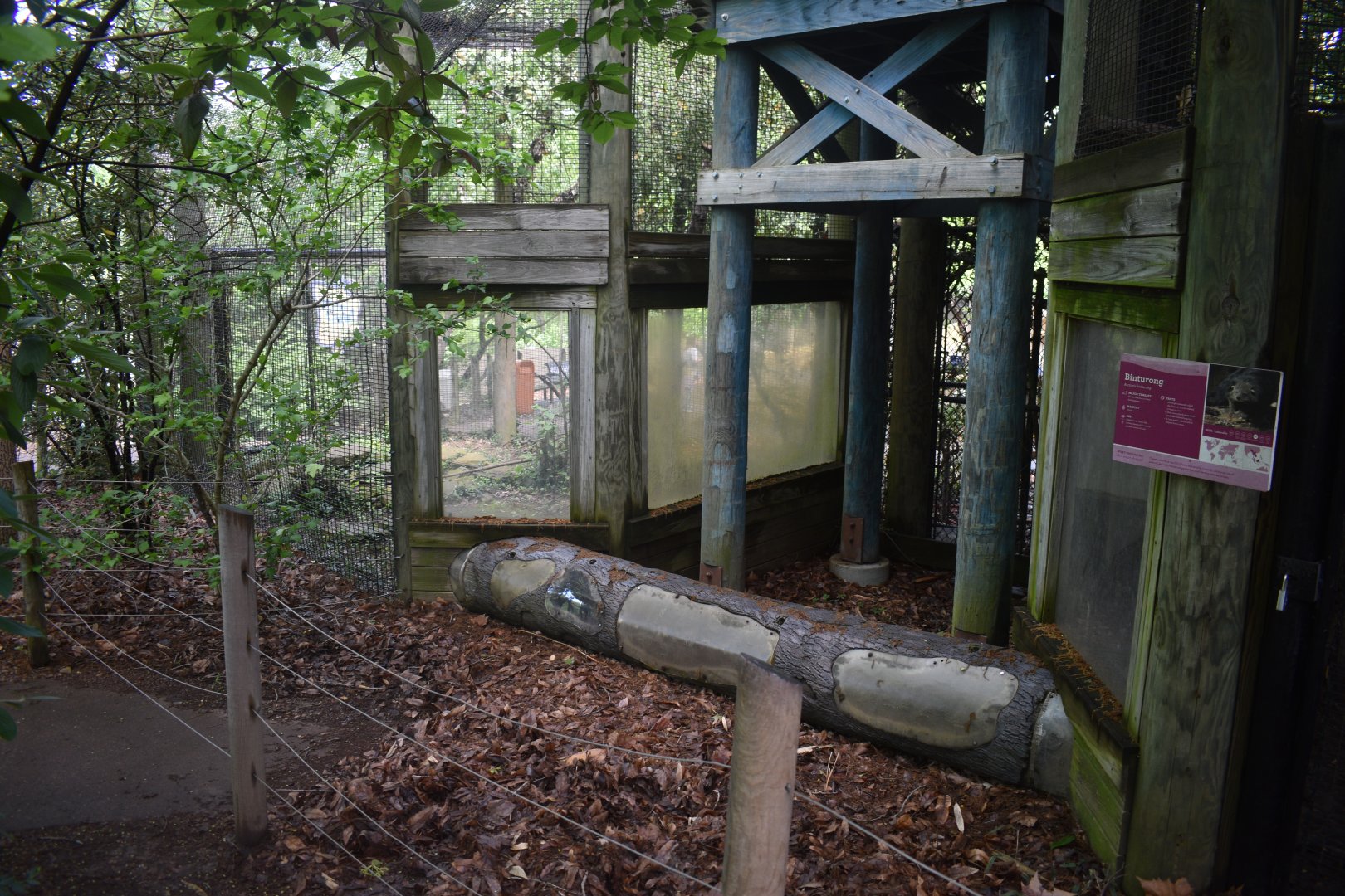 May. 2025 - Children's Enchanted Forest - Bearcat Exhibit Middle