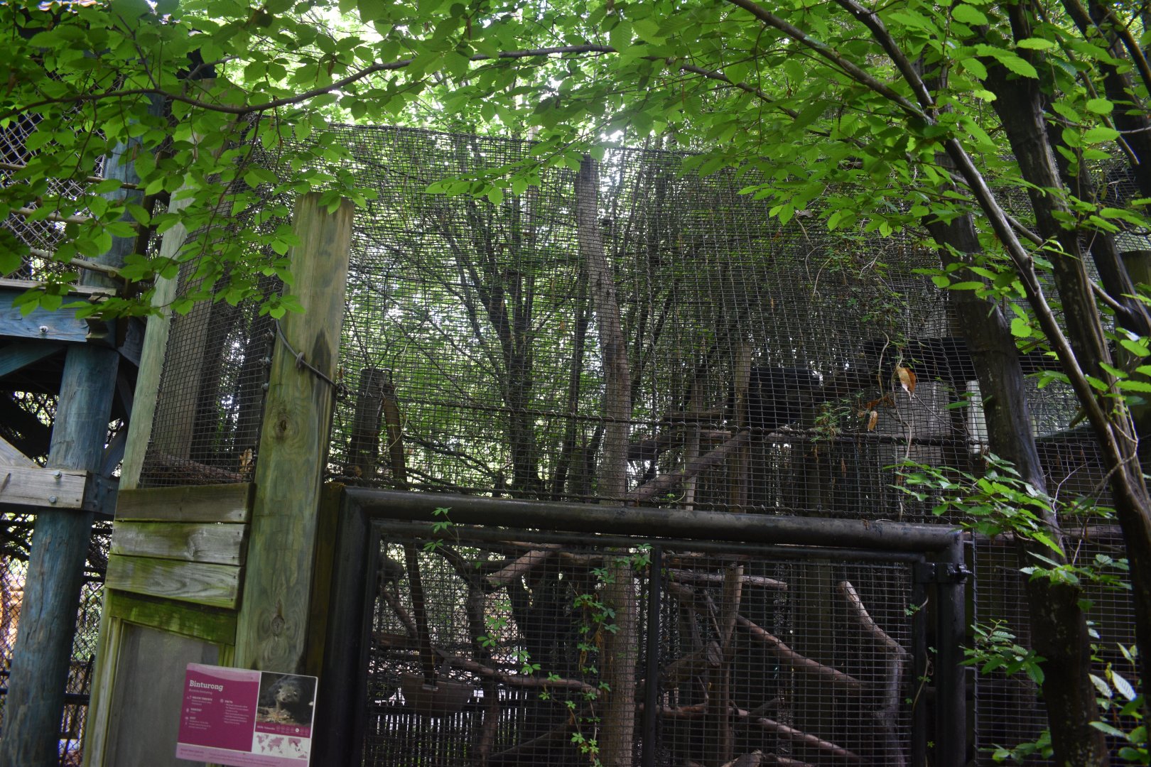 May. 2025 - Children's Enchanted Forest - Bearcat Exhibit Upper Half