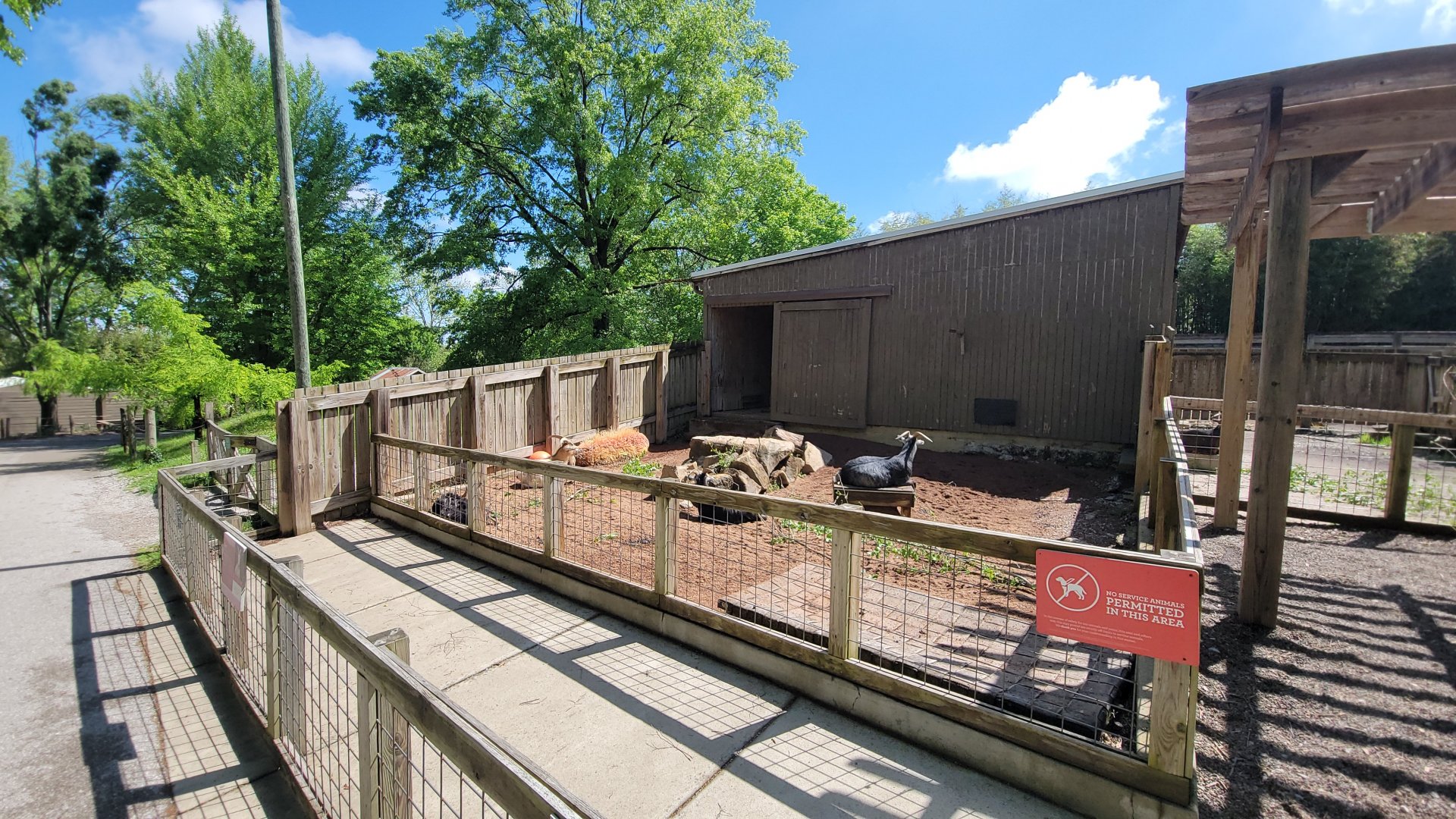 May. 2025 - Children's Enchanted Forest - Goat Exhibit