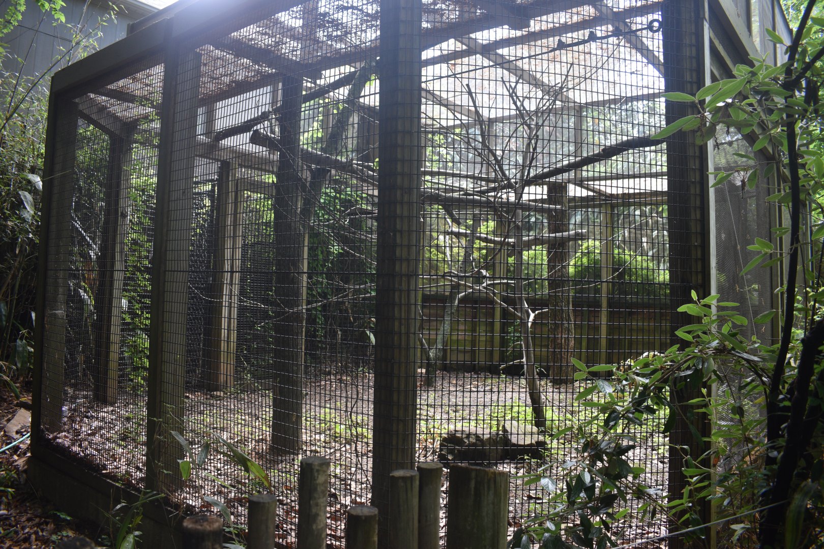 May. 2025 - Children's Enchanted Forest - Laughing Kookaburra Exhibit