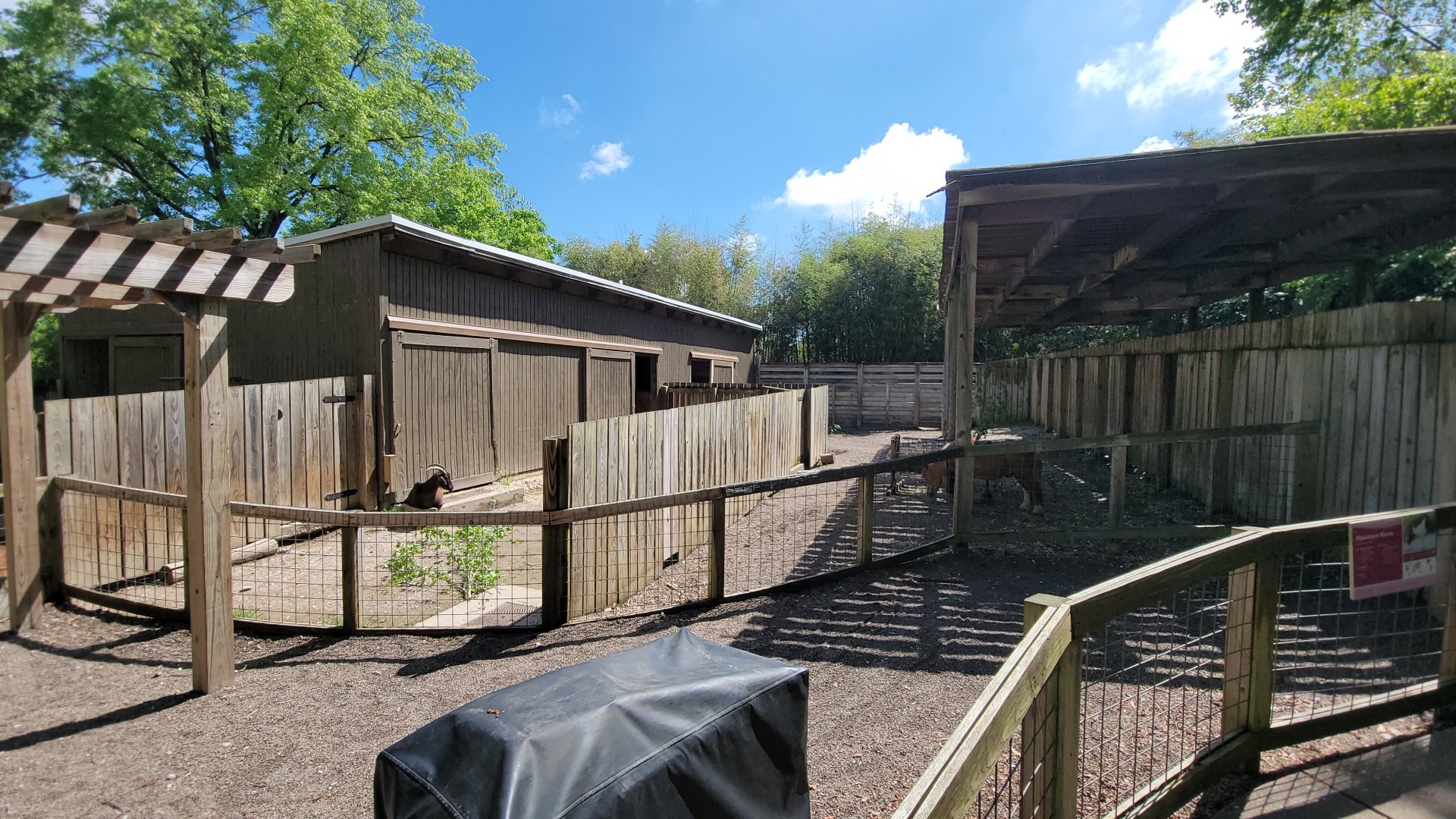 May. 2025 - Children's Enchanted Forest - Miniature Horse & Goat Exhibit