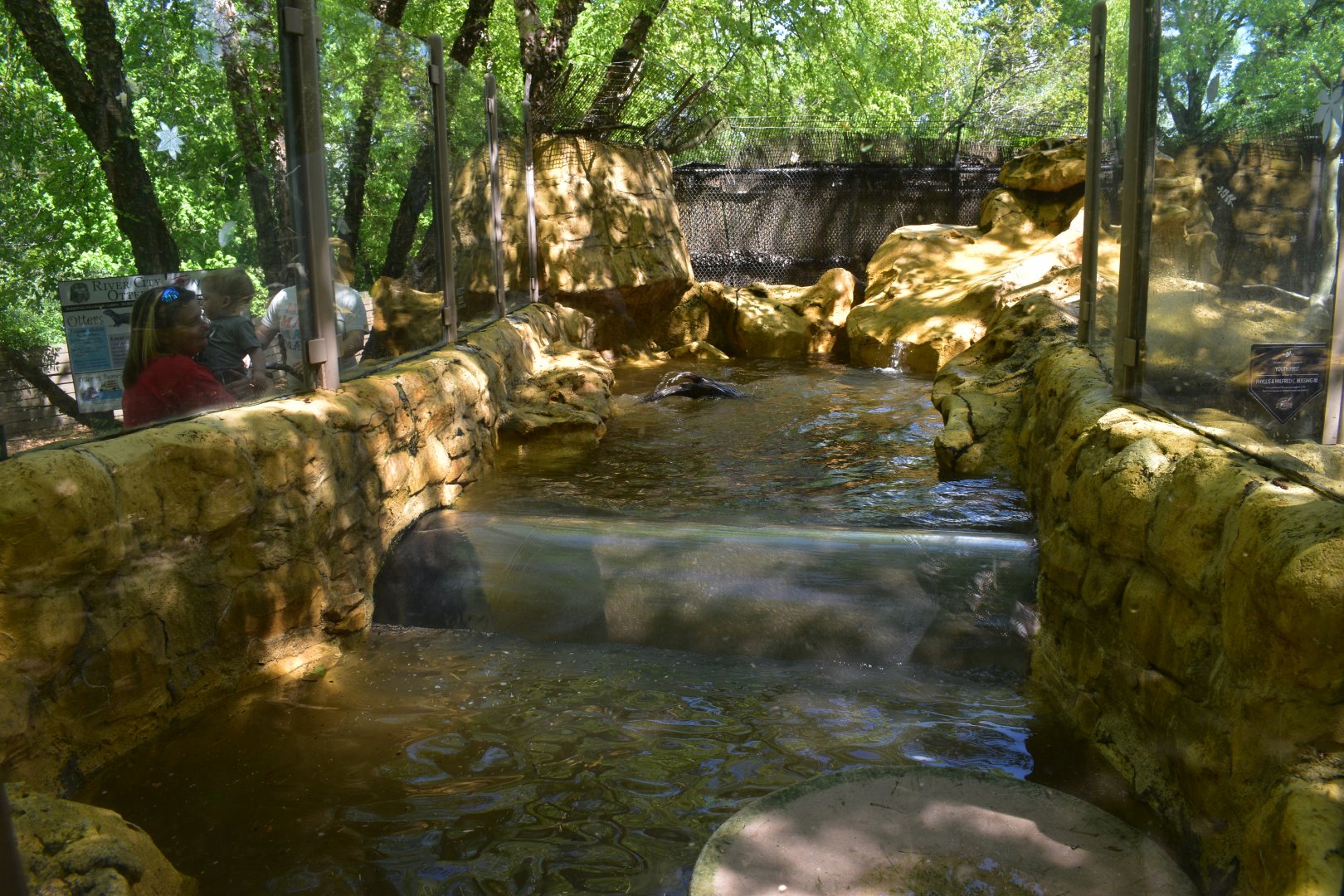 May. 2025 - Children's Enchanted Forest - River Otter Exhibit (Tunnel)