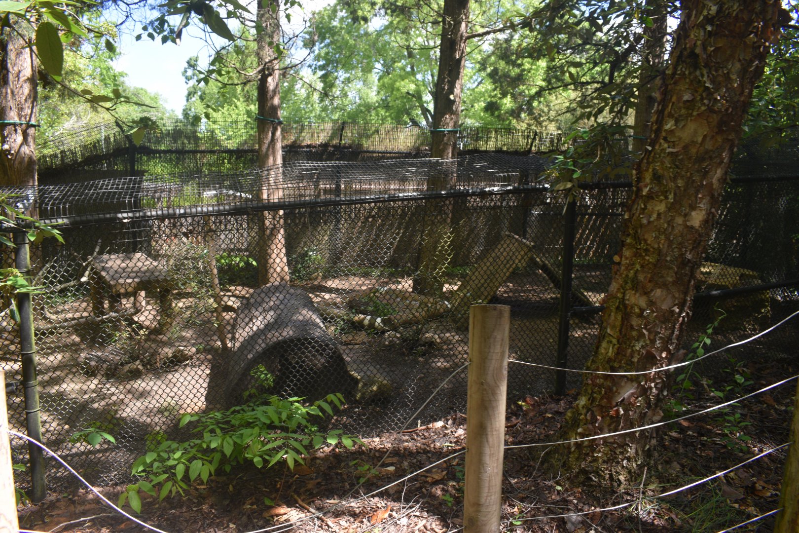 May. 2025 - Children's Enchanted Forest - River Otter Exhibit