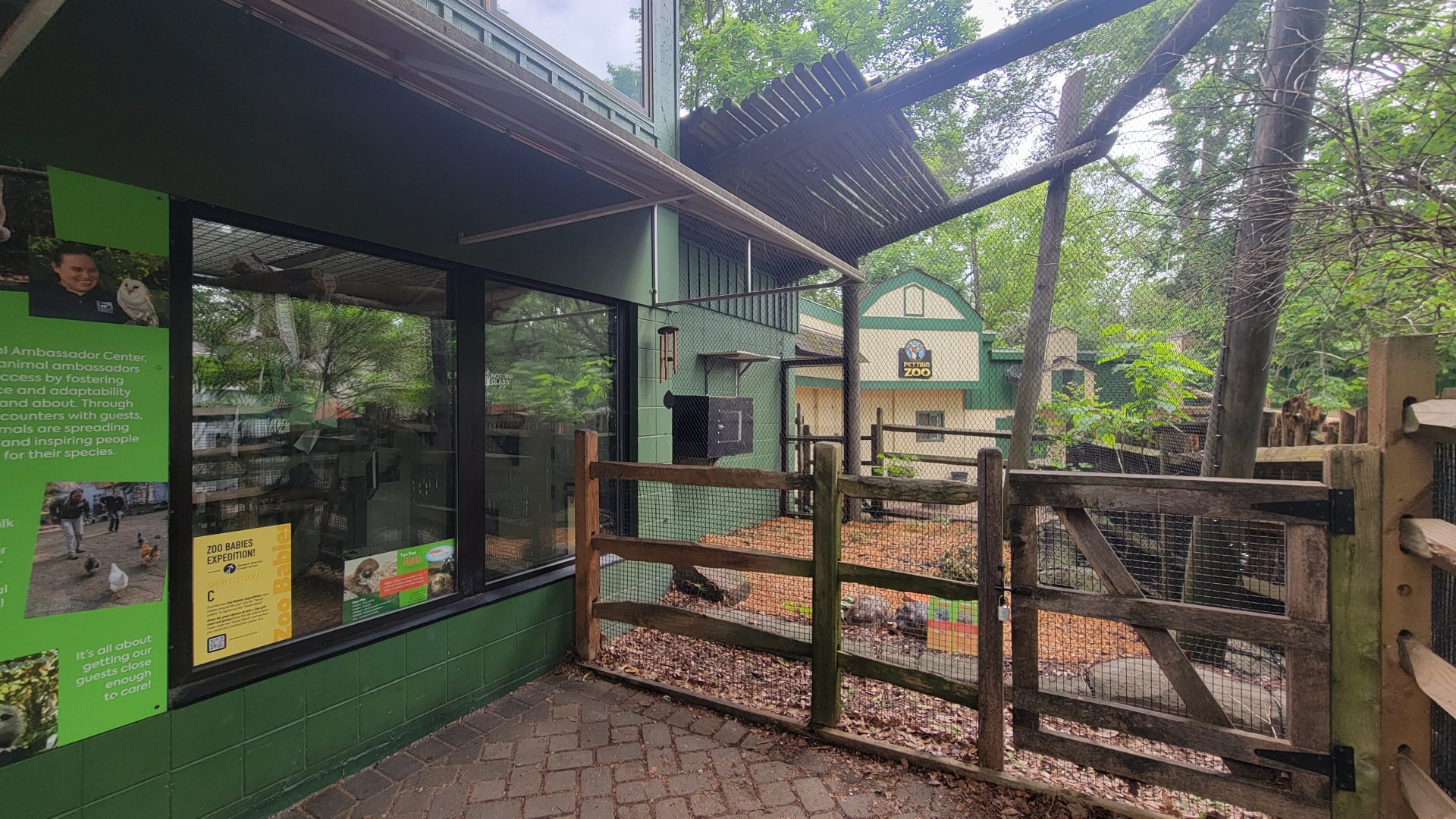 May. 2025 - Children's Zoo - Radiated Tortoise & Red-footed Tortoise Exhibit (Former Bearcat)