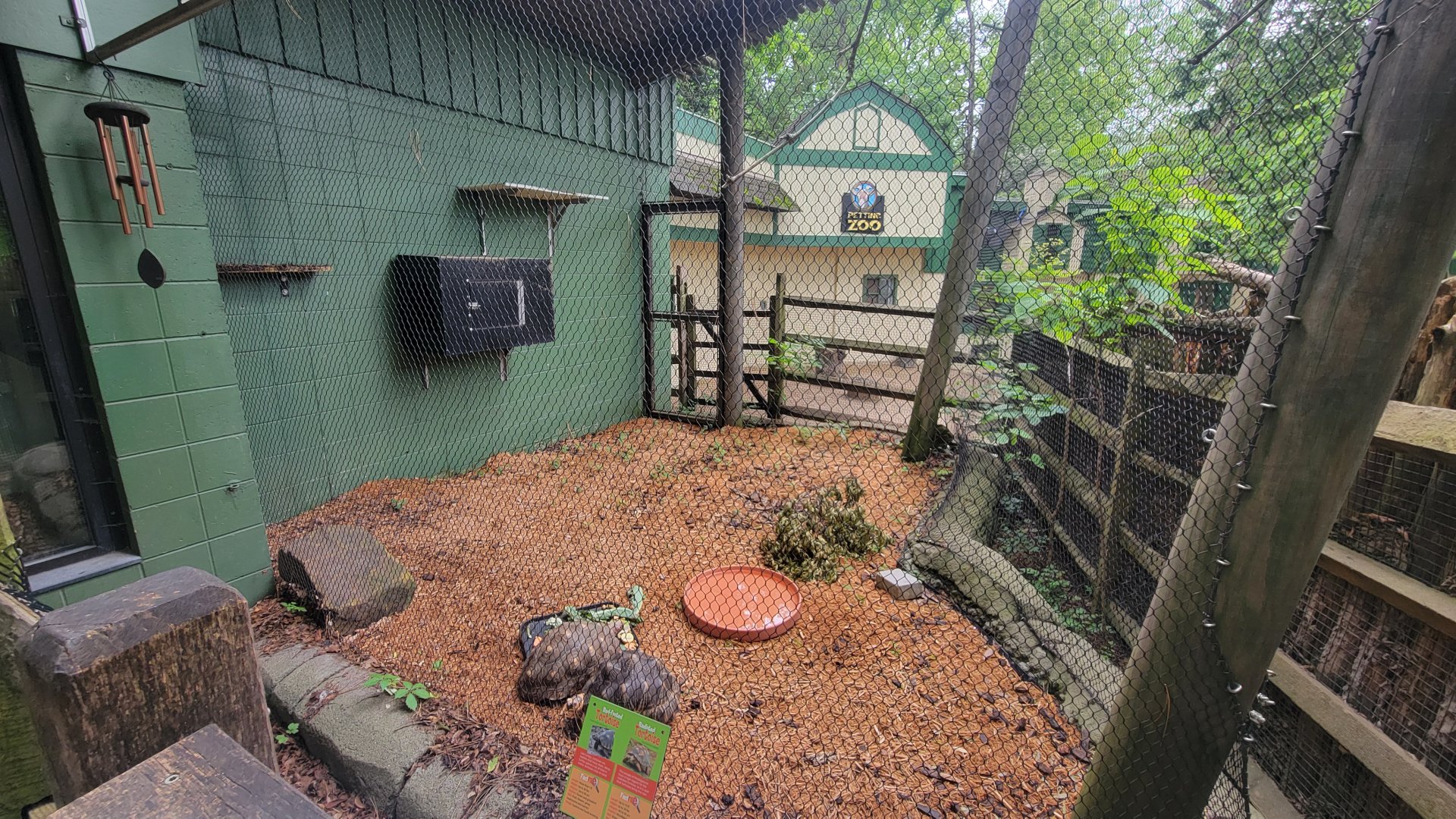 May. 2025 - Children's Zoo - Radiated Tortoise & Red-footed Tortoise Exhibit (Former Bearcat)