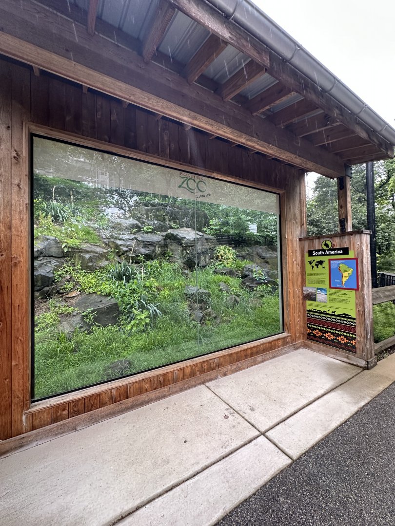 May 2025 - Condor Viewing Area